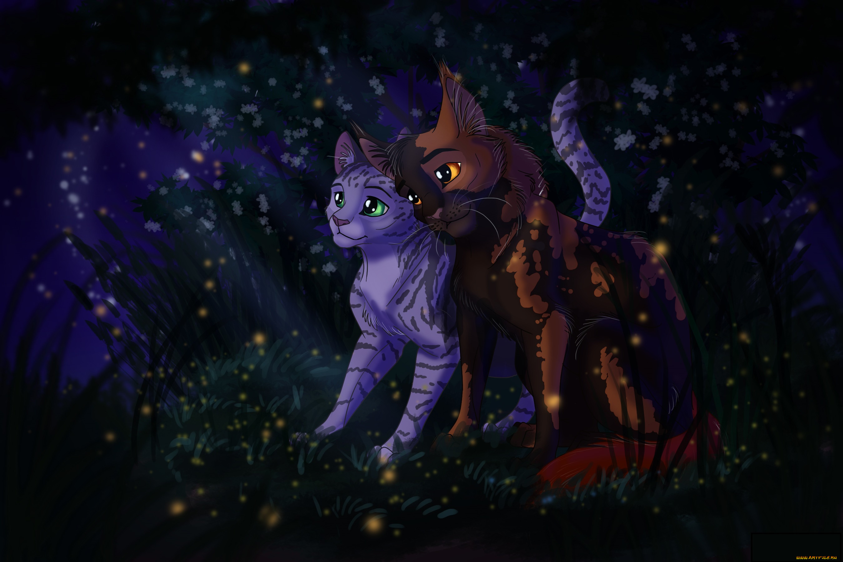 Коты Воители Беззвездная ночь